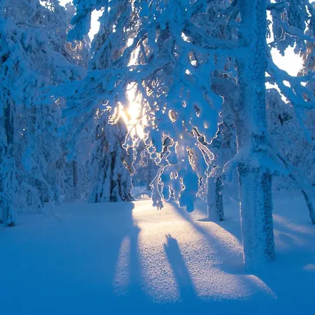 Lejlighed Suomu Aurora Glass Suomutunturi