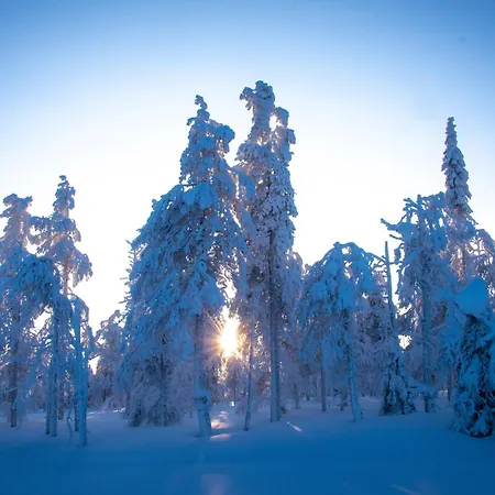 Lejlighed Suomu Aurora Glass *
